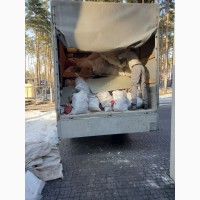 Вывоз мусора Малая Солтановка Хлепча Великая Солтановка
