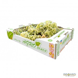 Продам оптом виноград TM AGRO SENCO