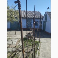 Продам дом в Березановке возле озера Шпаковое