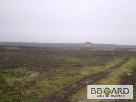Два участка по 15 соток в черте г.Васильков Киевской области