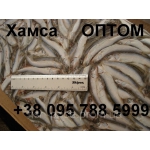 Купить бычок азовский свежемороженый крупный оптом в Керчи.