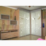 Шкаф купе с пескоструйным рисунком