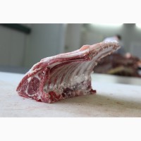 Мясо Халяль ягнятина баранина экспорт