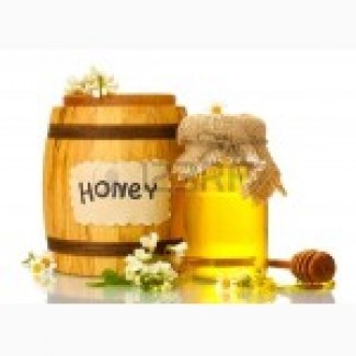 Продам оптом мед подсолнух 10000кг
