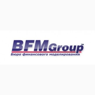 Розробка бізнес-планів від BFM Group Ukraine