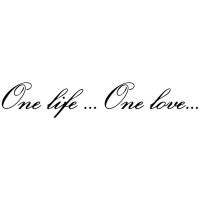 Наклейка One Life.One Love - одна жизнь одна любовь на авто Чёрная
