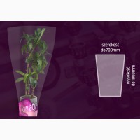Упаковка для букетов и растений из Польши