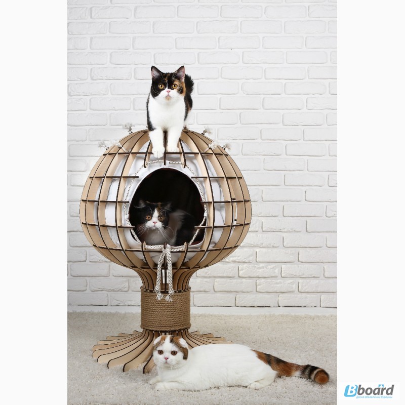 Фото 4. Домики для кошек и котов Медуза