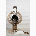 Домики для кошек и котов Медуза