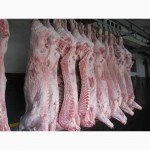 Продается оптом мясо свиньи в полутушах 1-2 категории от производителя