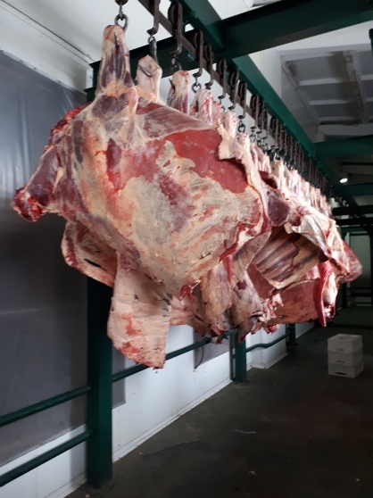 Фото 3. Мясо Халяль говядина экспорт