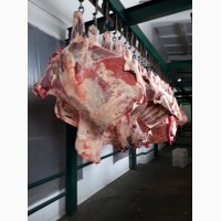 Мясо Халяль говядина экспорт