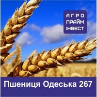 Пшениця Одеська 267