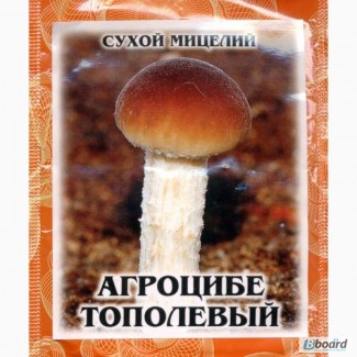 Сухий міцелій гриба «Агроцибе тополевий»