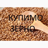 Закуповуємо у сільгоспвиробників зерновідходи пшениці