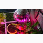 Фитолампа 27 Ватт (светодиодная лампа для растений)