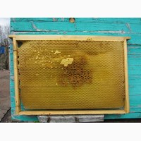 Продам Рамки сушь пчелиную 2017 кормовые рамки