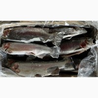 Товары из Европы. Замороженная продукция: Рыба-морепродукты, суповые наборы, сопутствующие
