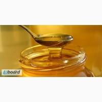 Продажа подсолнечного меда