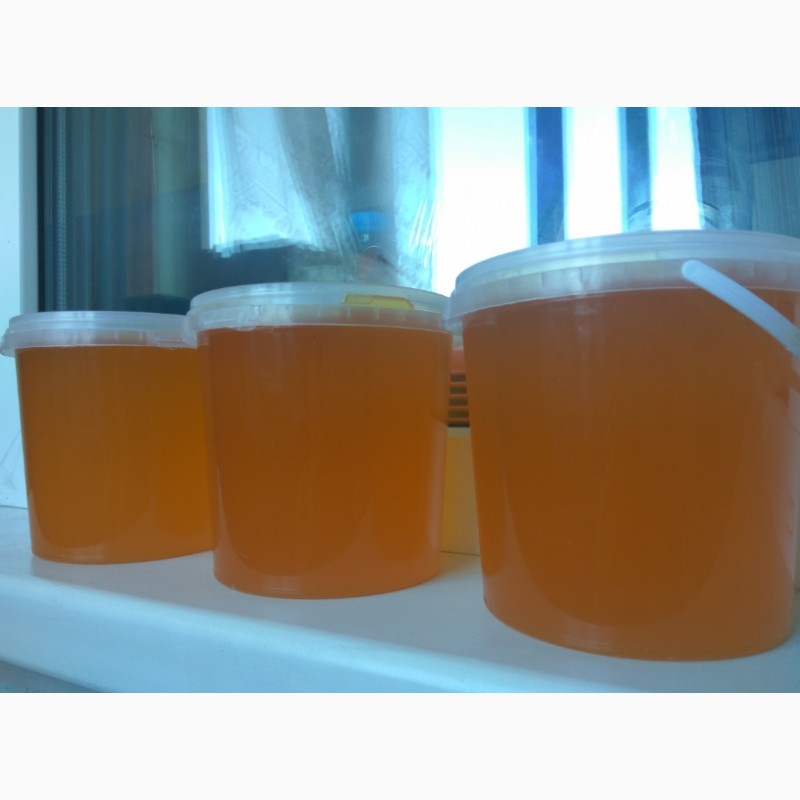 Фото 9. Продам домашний свежий мёд