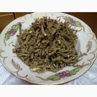 Корень мыльнянки (мыльный корень) 50 грамм