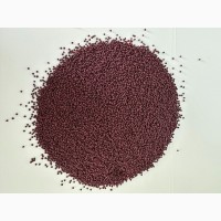 Продам насіння сидератів (озимий ріпак)
