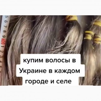 Купуємо у Дніпрі волосся до 127 000 грн. від 35см +Стрижка вашої мрії у ПОДАРУНОК