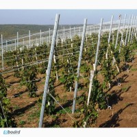 Металлические столбы для виноградников 2, 4 м