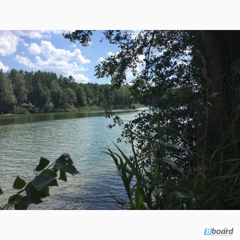 Фото 4. Лесные участки на берегу озера на курорте Друскининкай + ЗАО для оформления ВНЖ в ЕС