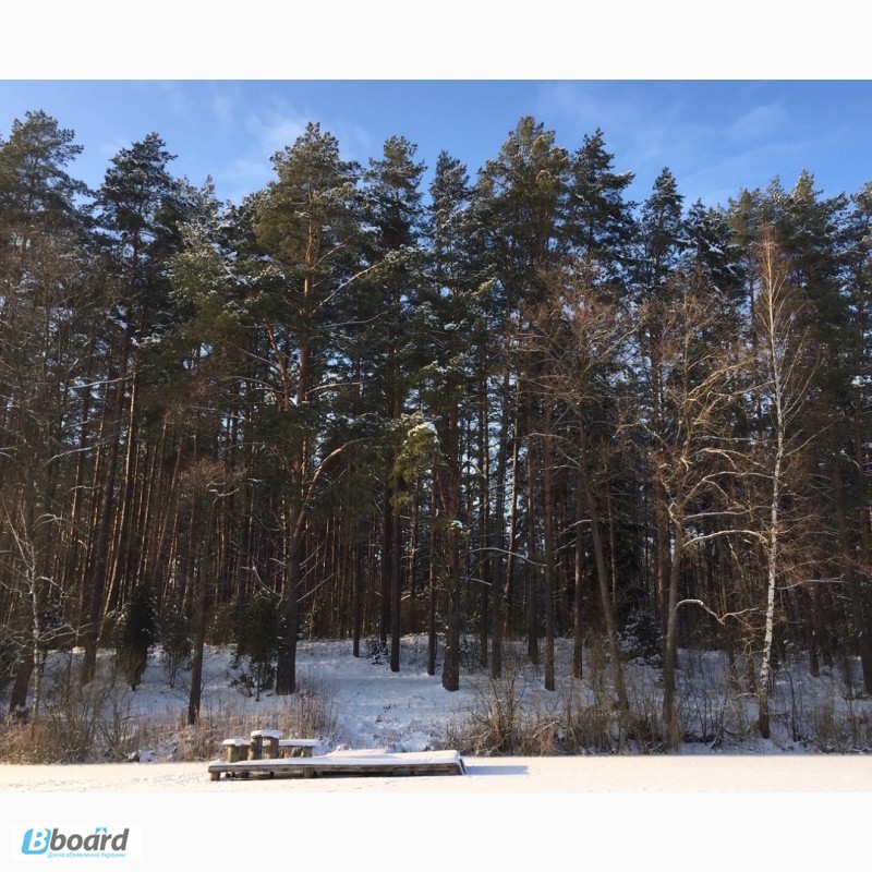 Фото 7. Лесные участки на берегу озера на курорте Друскининкай + ЗАО для оформления ВНЖ в ЕС