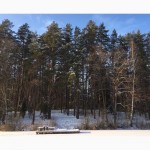 Лесные участки на берегу озера на курорте Друскининкай + ЗАО для оформления ВНЖ в ЕС