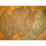 Табак Вирджиния ферментированный нарезан лапша 1-2мм