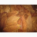 Табак Вирджиния ферментированный нарезан лапша 1-2мм