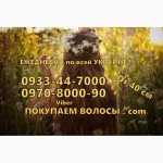 Продать волосы в Житомире Скупка волос вся Украина