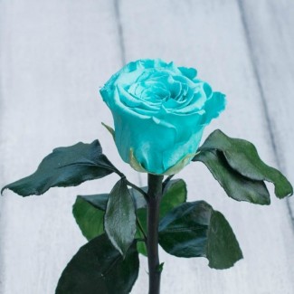 Невянущие розы в колбе Lerosh – Mini 27 см, Бирюзовая Лучший подарок к 8 марта