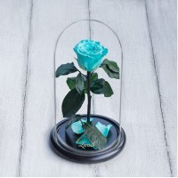 Невянущие розы в колбе Lerosh – Mini 27 см, Бирюзовая Лучший подарок к 8 марта