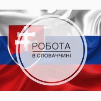 Работа в Словакии по биометрии и на ВНЖ
