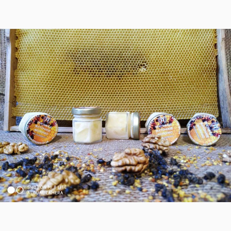 Фото 8. Пчелиное Маточное Молочко