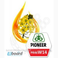 Семена рапса Pioneer PR46W14 (среднеспелый, озимый)