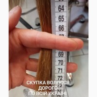 Куплю волосся від 35 см у Києві до 127000 грн за 1 кг. Модна стрижка у подарунок