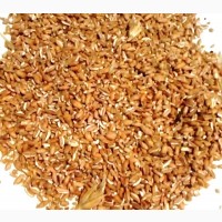 Пшеница, дробленая пшеница зерноотход. Корм с/х животным и птицам