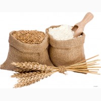 Куплю пшеницу в Николаеве и области