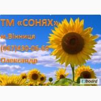Куплю соняшник олійний