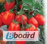 Семена томатов весовые и пакетированные от производителя оптом