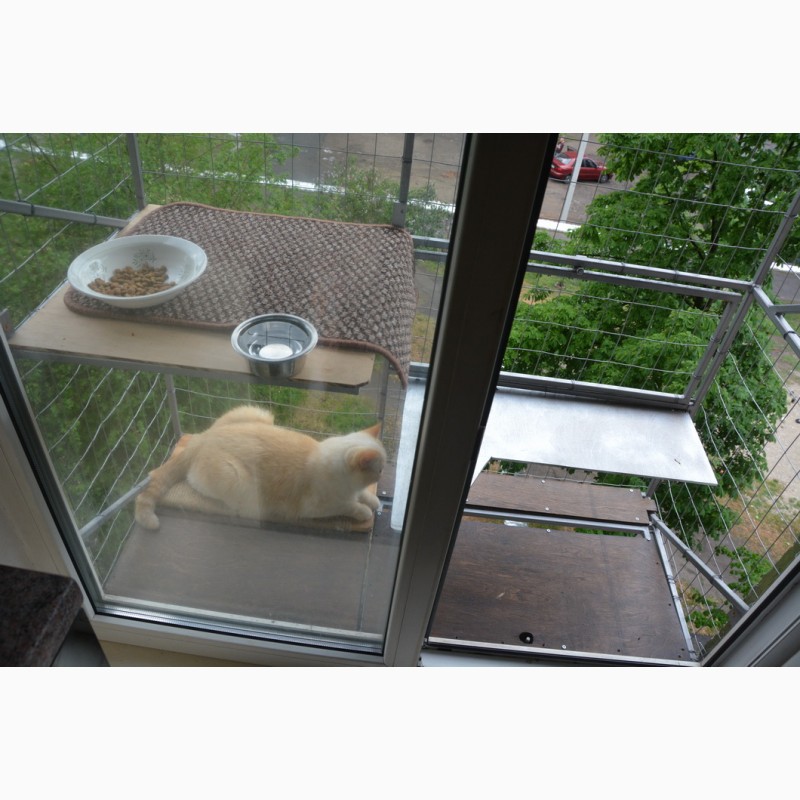 Фото 13. Прогулочный вольер для кошек на окно. Броневик Днепр
