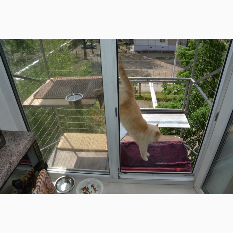 Фото 4. Прогулочный вольер для кошек на окно. Броневик Днепр