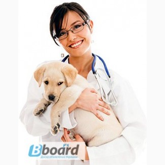 Ветеринарные услуги на дому