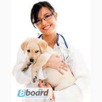 Ветеринарные услуги на дому