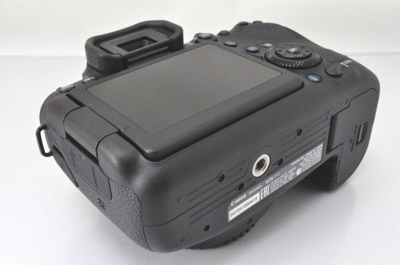 Фото 2. Canon EOS 6D Mark II DSLR Camera with 24-105mm f/4L II Lens