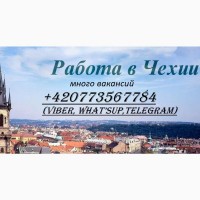 Работа в Чехии (много вакансий)